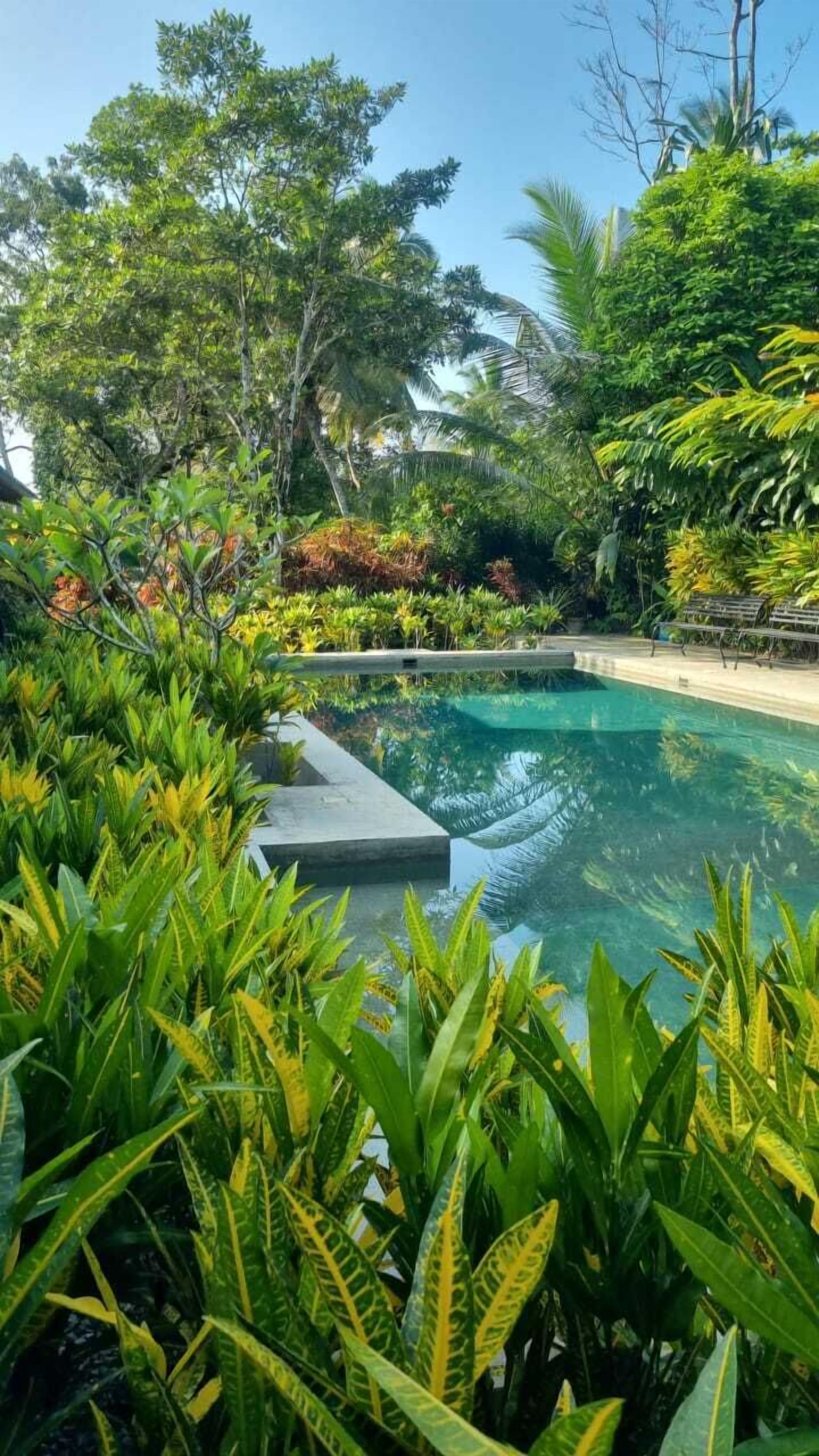 室外游泳池，日光浴躺椅