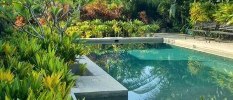 室外游泳池,日光浴躺椅