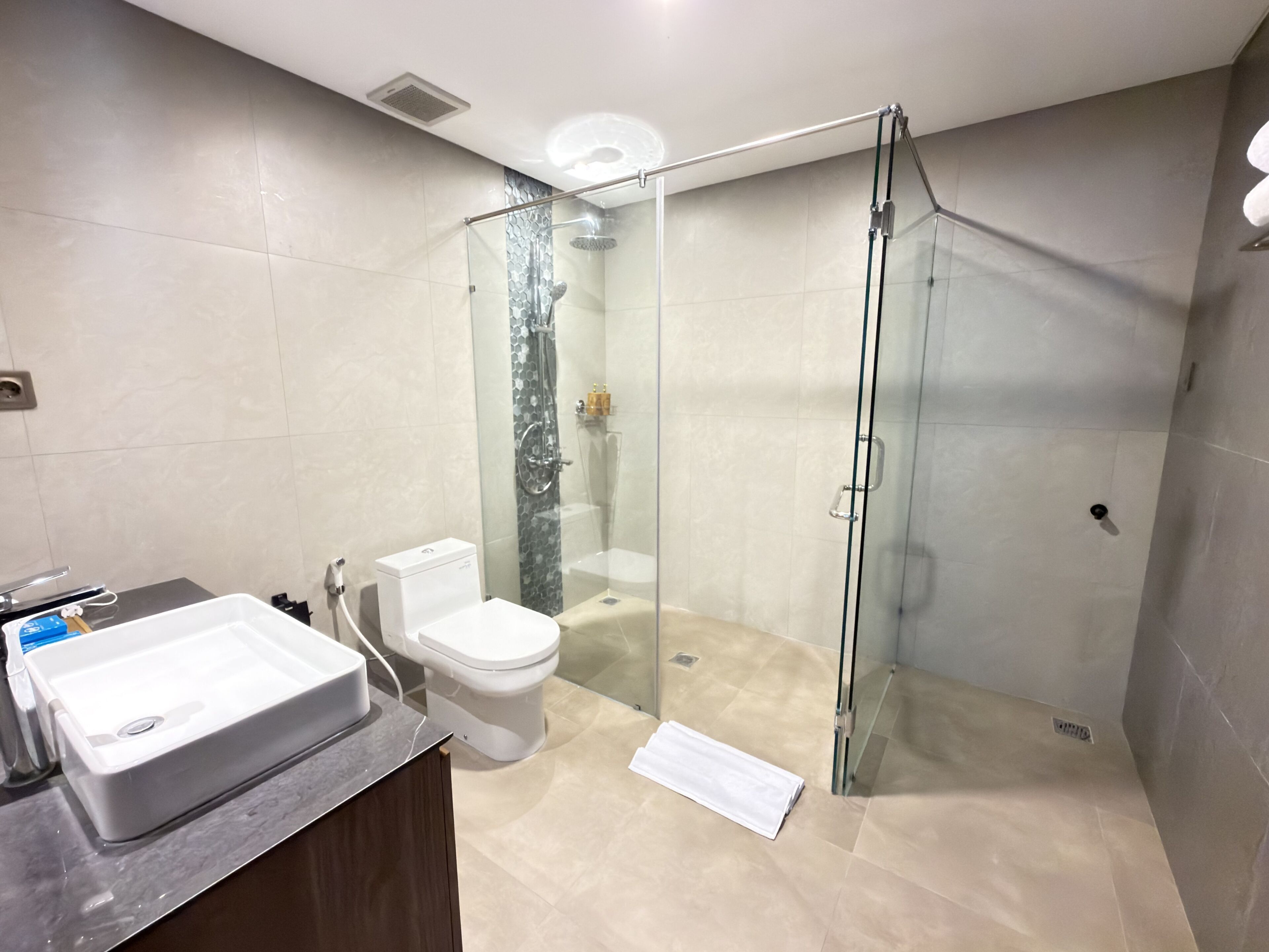 A modern bathroom with a glass-enclosed shower, a white toilet, and a large sink.