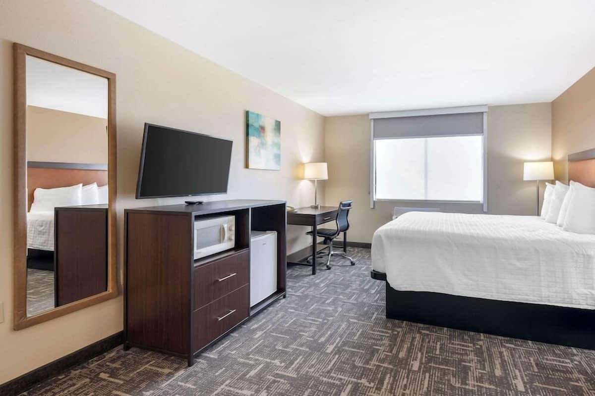 A hotel room with a bed, a desk with a chair, a television, a mirror, and a window.