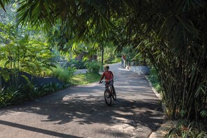 Ciclismo