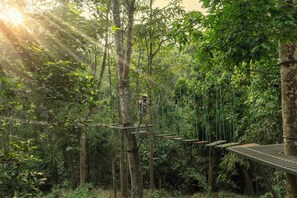 Parcours acrobatique (renforcement d’équipe)