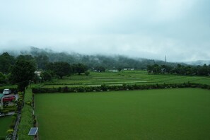 A green field with a building and parked cars. - Vasant Corbett Resort (Ramnagar)