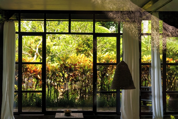 Couples treatment rooms, body treatments, reflexology