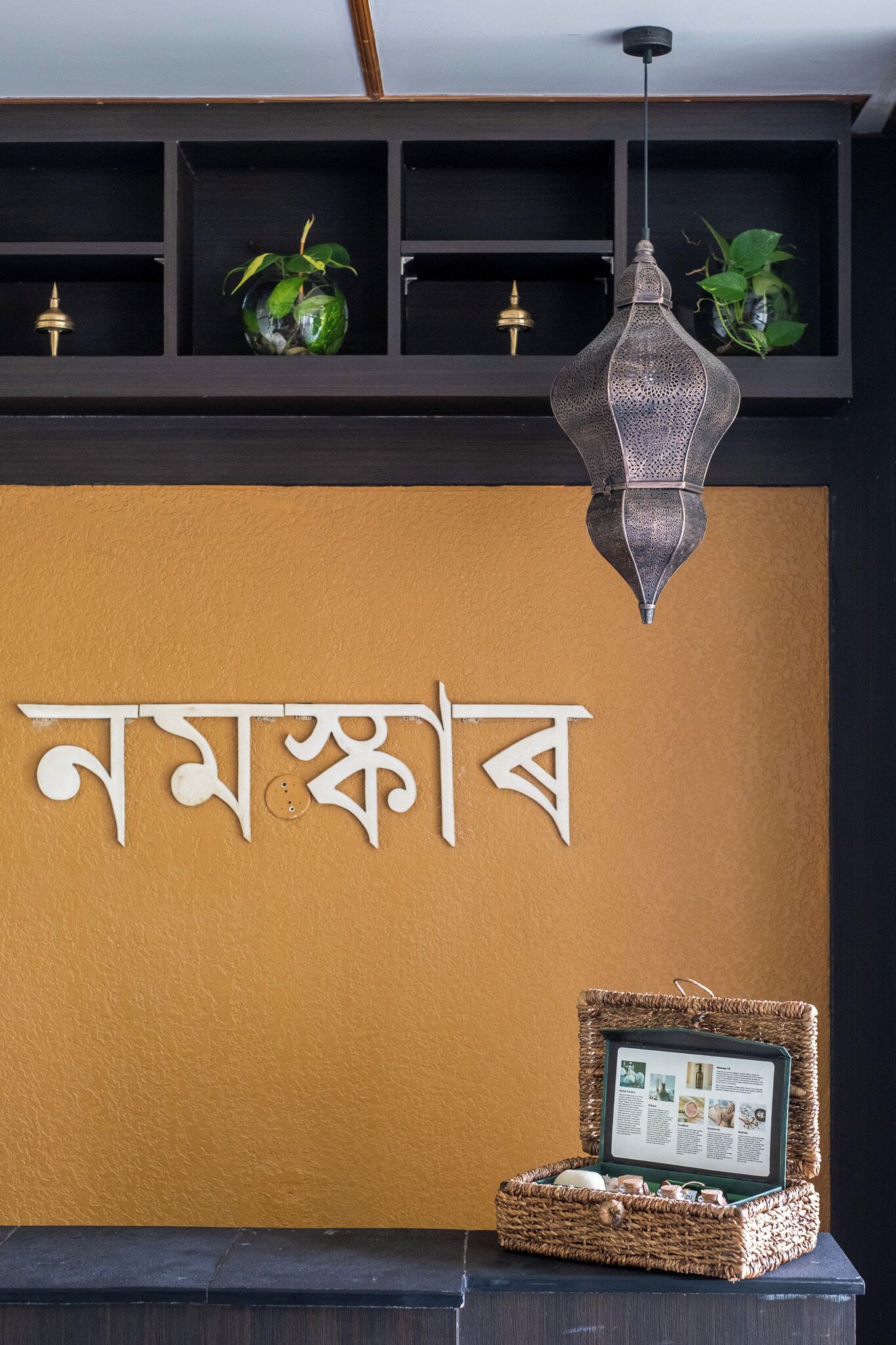 A reception area with a dark wooden shelf, decorative plants, a hanging lantern, and a woven basket containing a brochure.