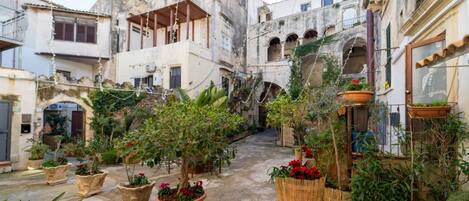 A courtyard with potted plants, a tree, and buildings with balconies and arches.