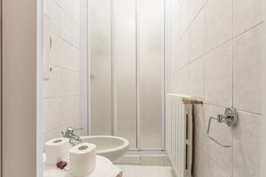 Shower, hair dryer, bidet, towels