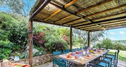 Villa Salivolpe Amazing Chianti View