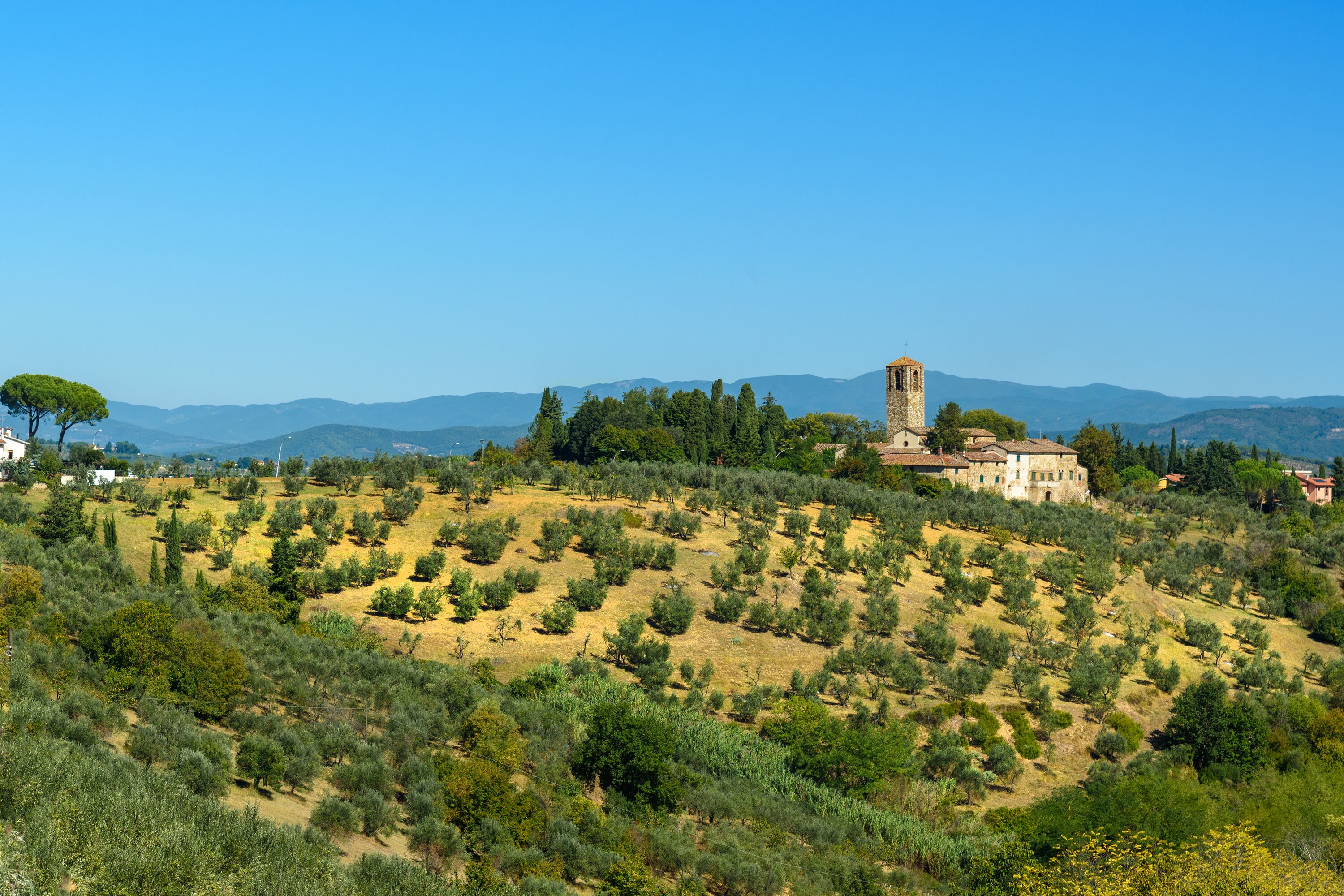 Un paisaje montañoso con un edificio histórico que tiene una torre, rodeado de olivares y árboles.