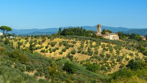 A hillside landscape with a historic building featuring a tower, surrounded by olive groves and trees. - Villa Salivolpe Amazing Chianti View (San Casciano in Val di Pesa)