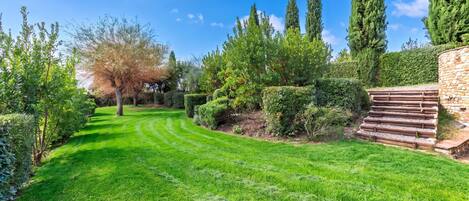 A well-maintained garden with a variety of trees, a neatly trimmed lawn, and a stone wall with steps.