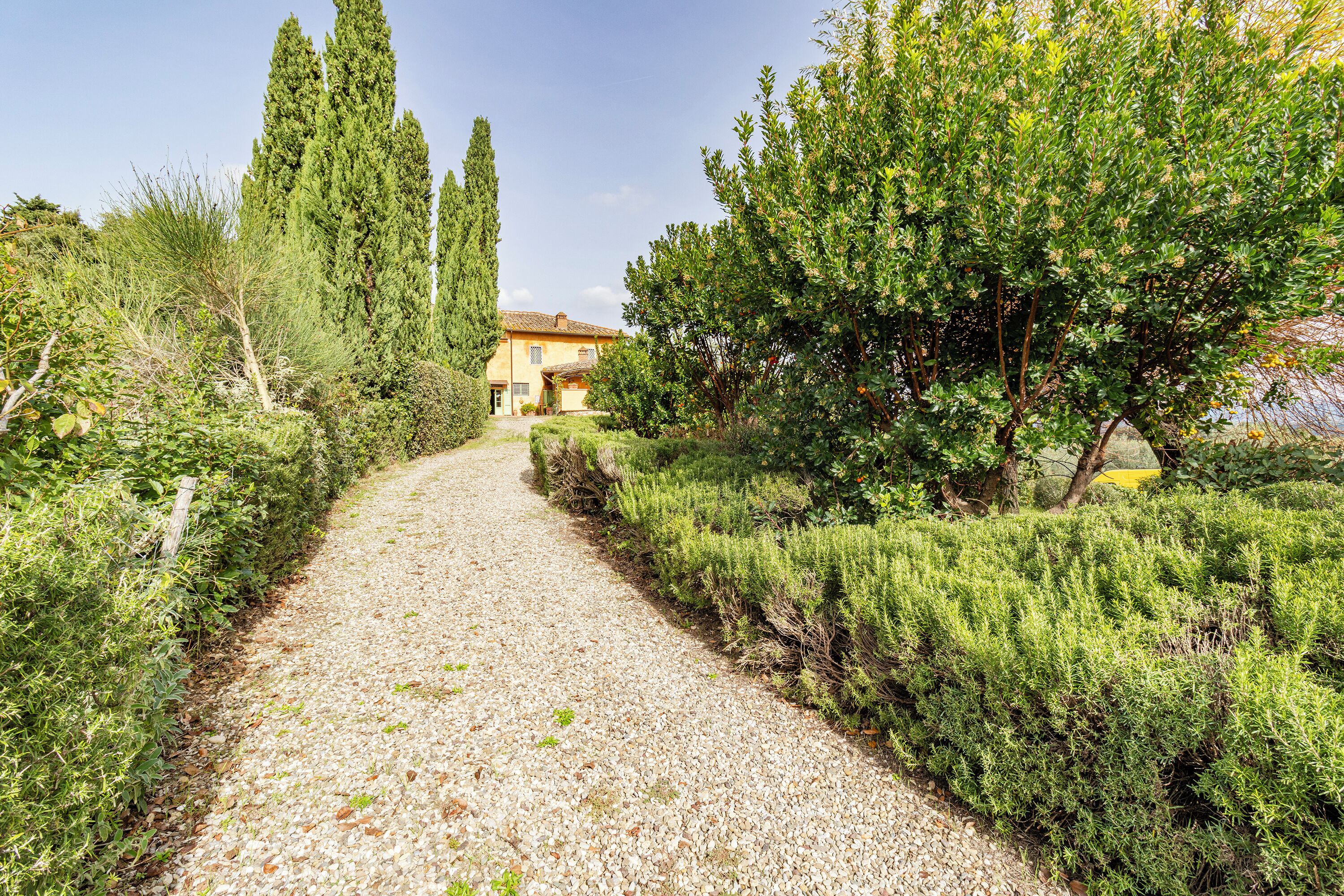 Family Apartment, Multiple Bedrooms, Mountainside (Villa Salivolpe Amazing Chianti View) | Property grounds