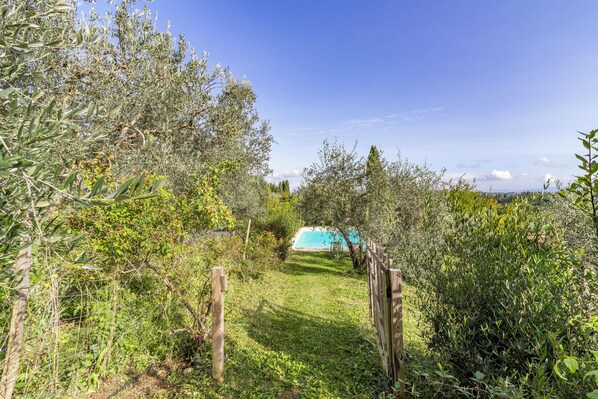 Casa familiar, varias habitaciones, junto a la montaña (Villa Salivolpe Amazing Chianti View) | Áreas de la propiedad