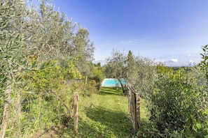 Familiehus - flere soveværelser - ved bjerg (Villa Salivolpe Amazing Chianti View) | Overnatningsstedets område