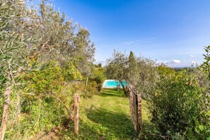 A pathway leading to a swimming pool surrounded by lush greenery and trees. - Villa Salivolpe Amazing Chianti View (San Casciano in Val di Pesa)