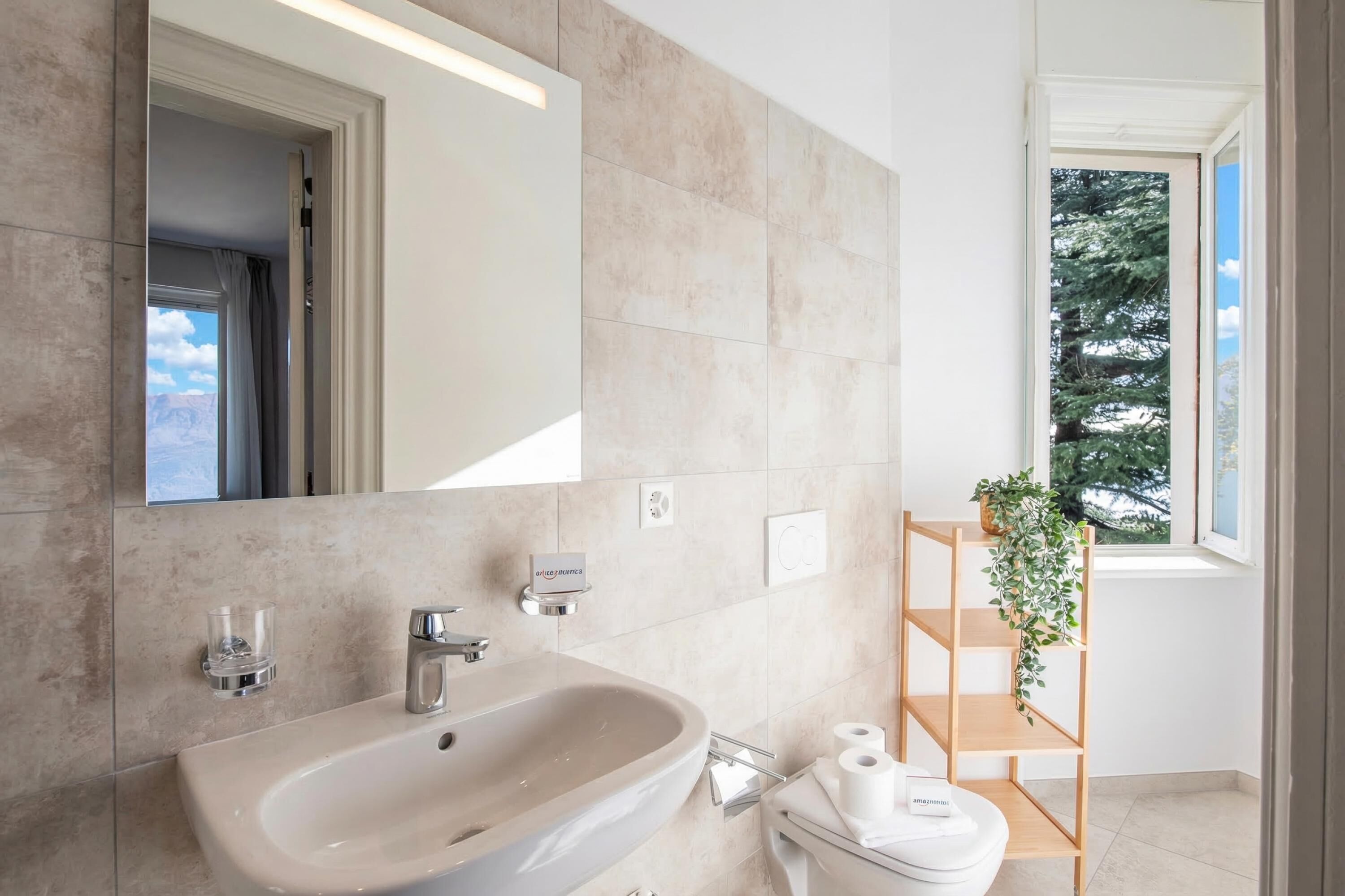 A modern bathroom with a large sink, mirror, and a wooden shelf with a plant.