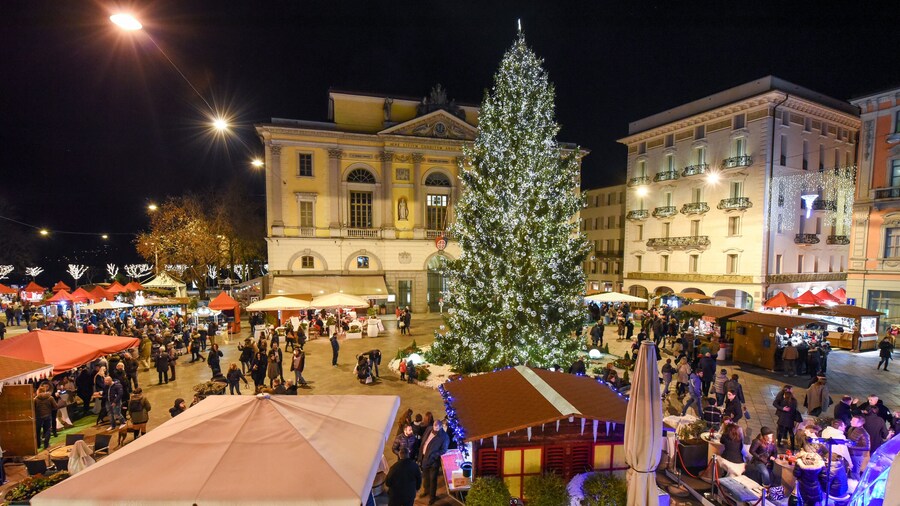 Tesori Della Vetta Pervinca