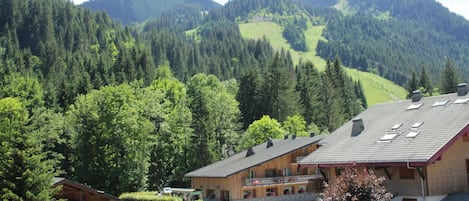 Esterni