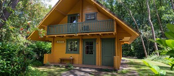 Cozy and complete Swedish group home in the forest