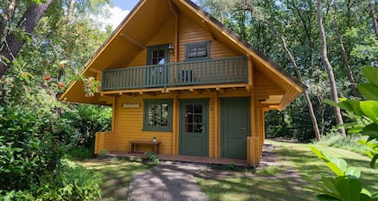 Cozy and complete Swedish group home in the forest