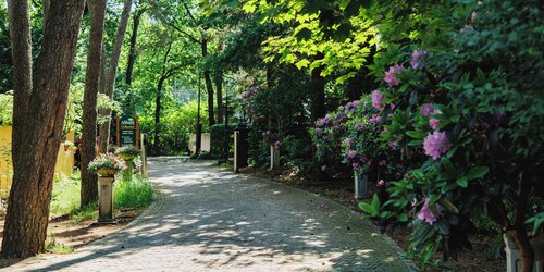 Cozy and complete Swedish group home in the forest