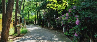 Cozy and complete Swedish group home in the forest