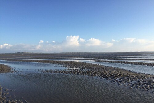 Chalet in Tzummarum near Frisian Countryside