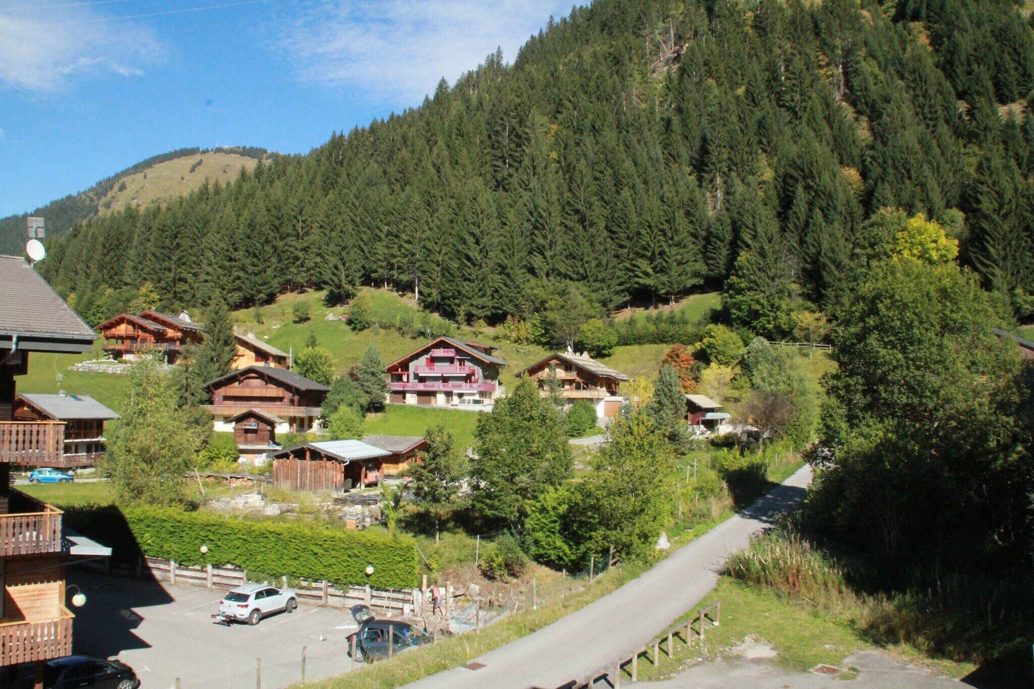 A mountain village with wooden houses, a road, and a forested hillside.