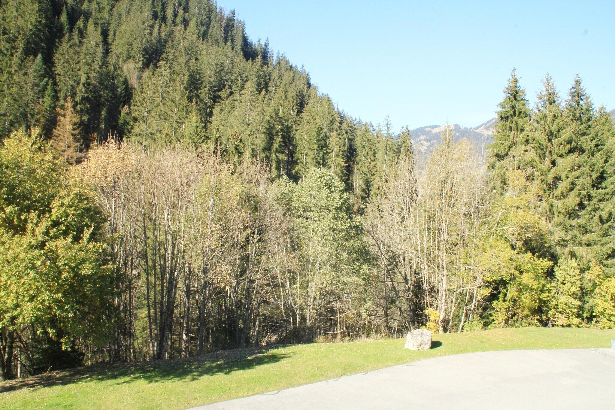 A road curving through a forested area with a large rock in the foreground and mountains in the background.