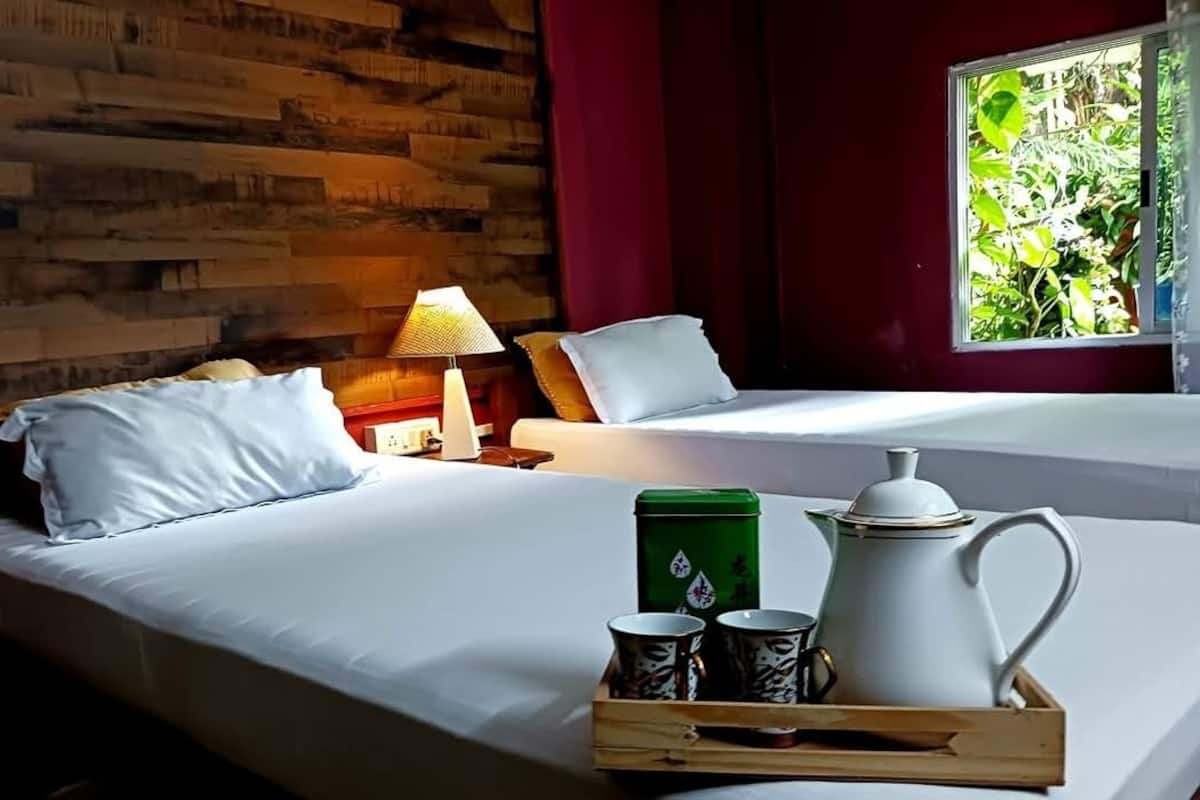 Quarto de hotel com parede de madeira, cama com roupa de cama branca, mesa de cabeceira com abajur e janela com vista para vegetação.
