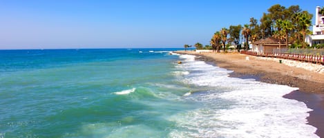 Ein Strand mit klarem, blauem Wasser, einem Sandufer und einer Reihe von Palmen.