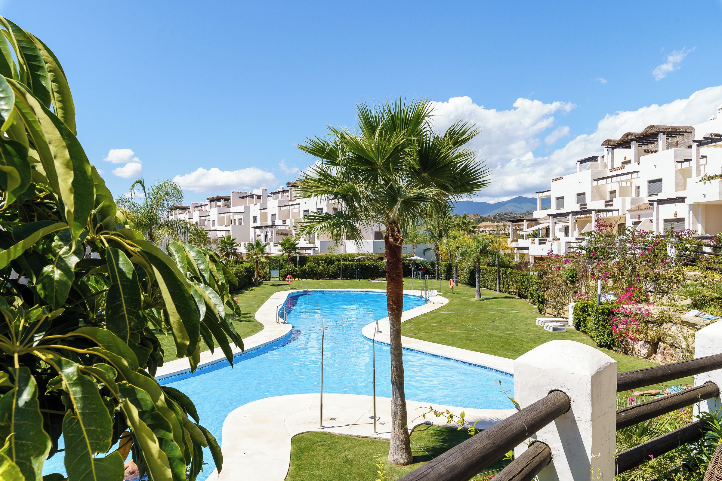 A swimming pool with a palm tree in the foreground, surrounded by a well-maintained lawn and a row of white buildings in the background.
