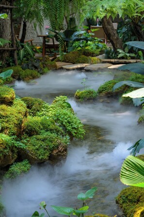 Jardín