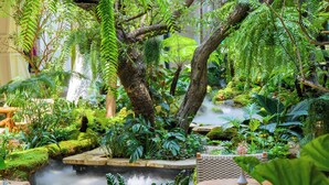 A lush indoor garden with a waterfall, seating areas, and various plants. - LA PLANTE SIEM REAP (Siem Reap)