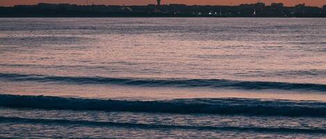 サーフィン / ボディボード