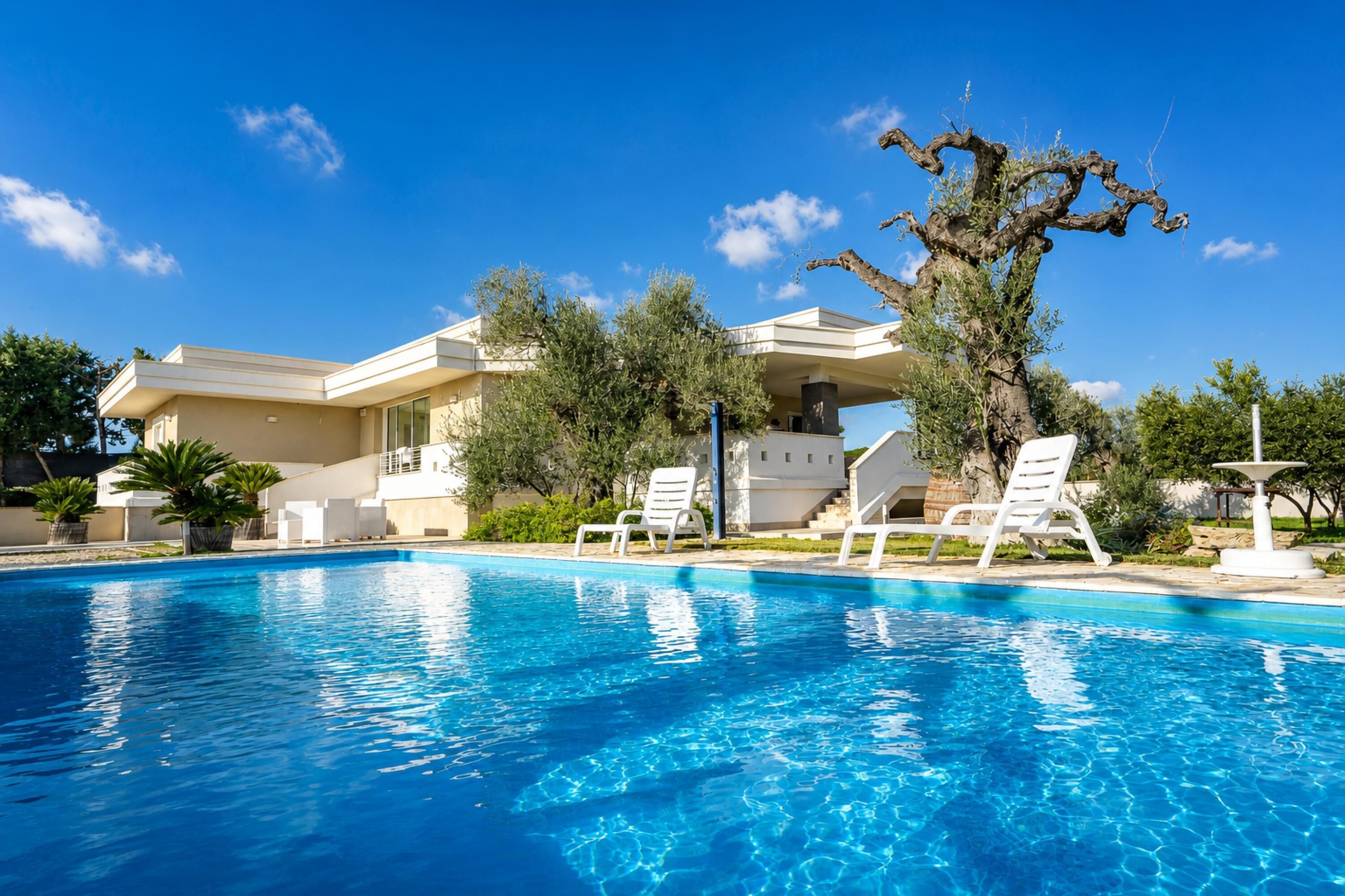Una piscina con sillones de descanso, una casa moderna de techo plano y un árbol con ramas retorcidas.