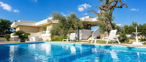Una piscina con sillones de descanso, una casa moderna de techo plano y un árbol con ramas retorcidas.