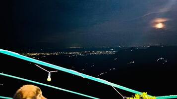 Un perro sentado en un saliente de piedra con vista a un paisaje urbano nocturno, con una luna visible.