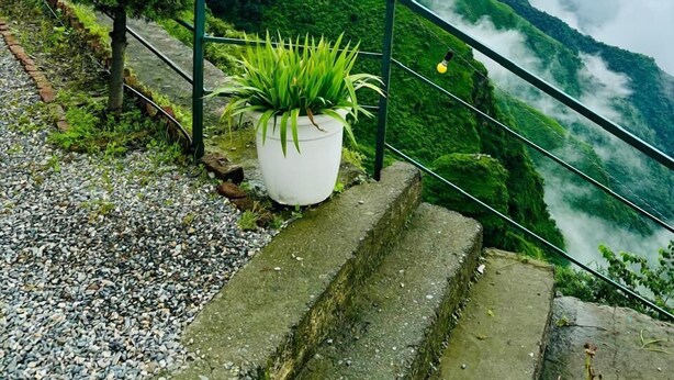 A staircase with a railing, a potted plant, and a view of a valley with clouds. - Deodar Inn resort (Kalsi)