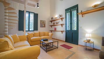 TV a schermo piatto 21 pollici con canali digitali, caminetto