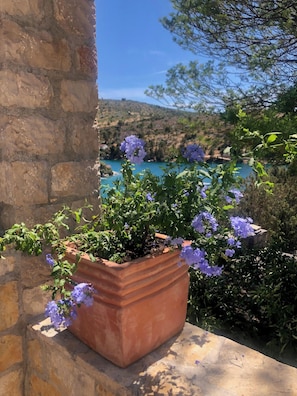 Detalle del exterior