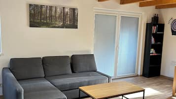 Una Smart TV, una chimenea, libros