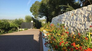 A paved driveway leading to a stone wall with a flower bed.
