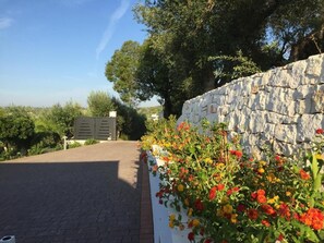 Overnattingsstedets uteområder