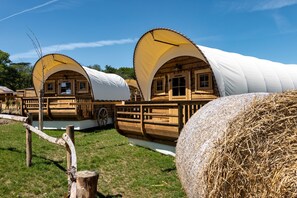 Minibar, free WiFi, bed sheets