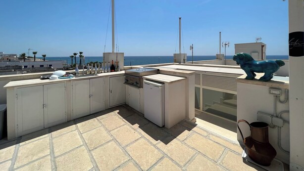 Een terras op het dak met uitzicht op de zee, met een blauw paardbeeld, een barbecue en een rij flessen.
