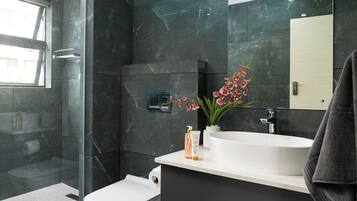 Shower, towels, toilet paper
