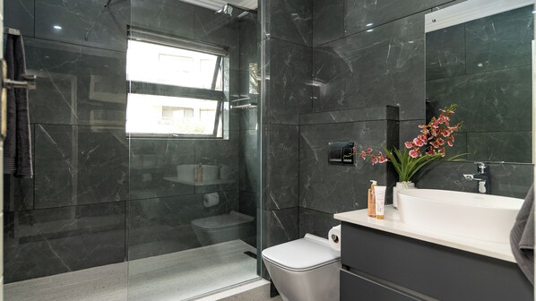 Shower, towels, toilet paper