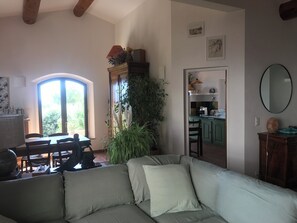 Télévision, cheminée, table de tennis de table, livres