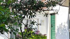 A garden with various plants and flowers, a white building with a green door, and a window with a curtain. - Villa Inn Sintra | Private Garden Retreat (Sintra)
